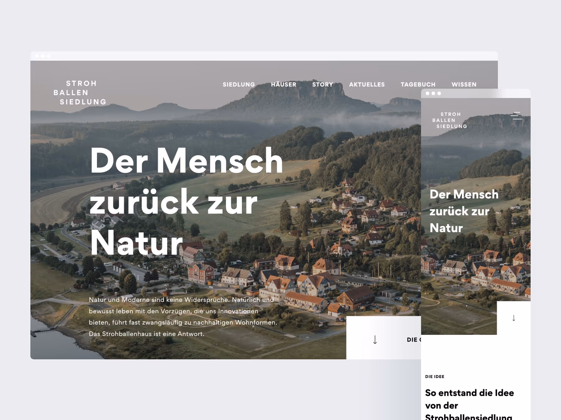 Screenshot of the news section of the website