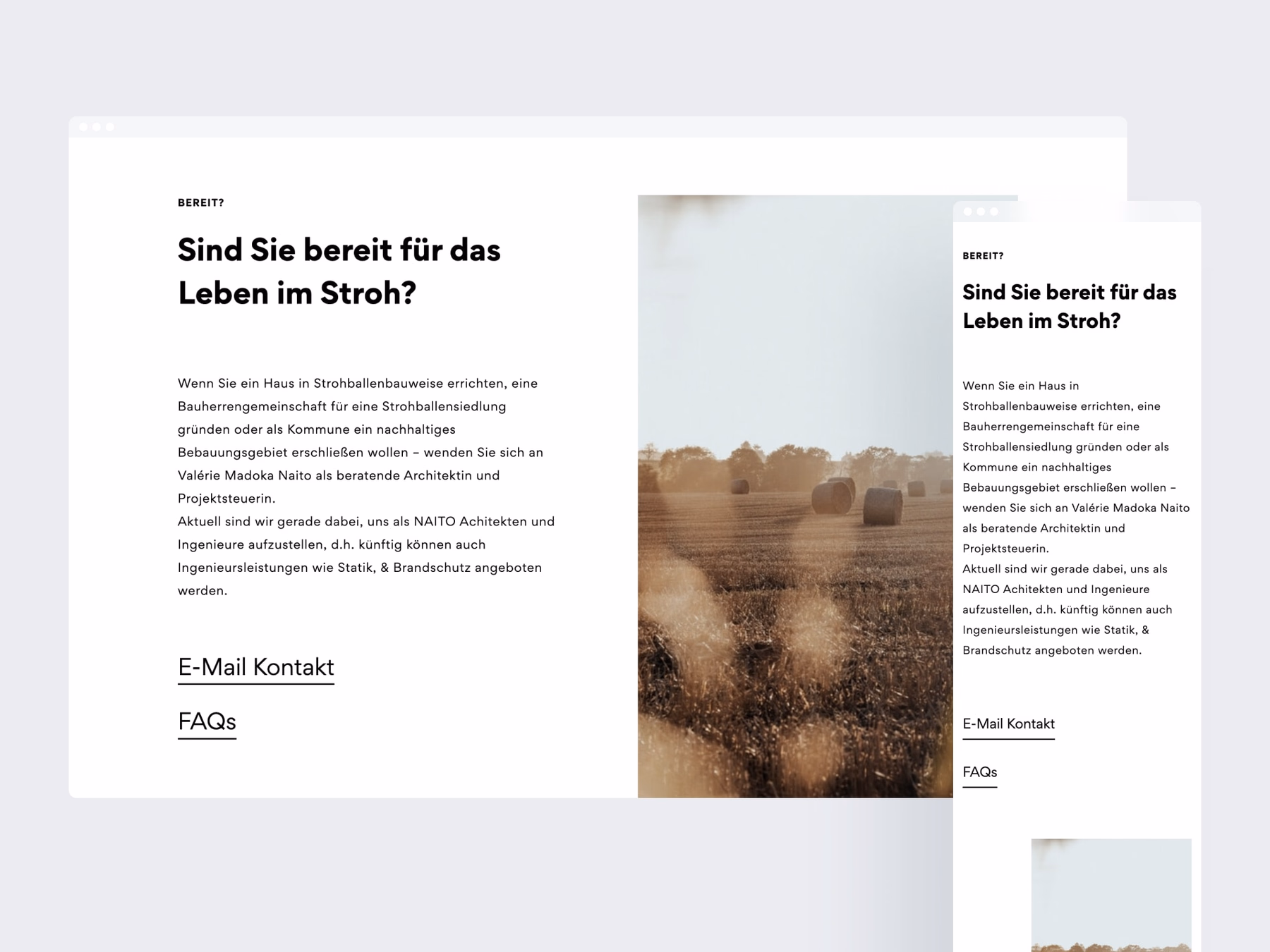 Full-width screenshot of the website